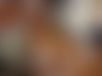 Welcoming Armed Forces Minister to Redditch