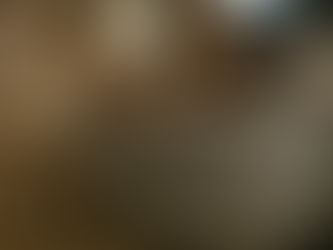 Welcoming Reforms to Make Vet Bills Clearer and Fairer