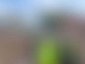 ST. GREGORY'S DEVELOPMENT