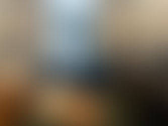 WESTMINSTER OFFICE SECURED AND CONSTITUENCY WORK UPDATE