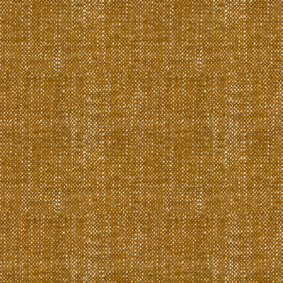 Color-457.jpg