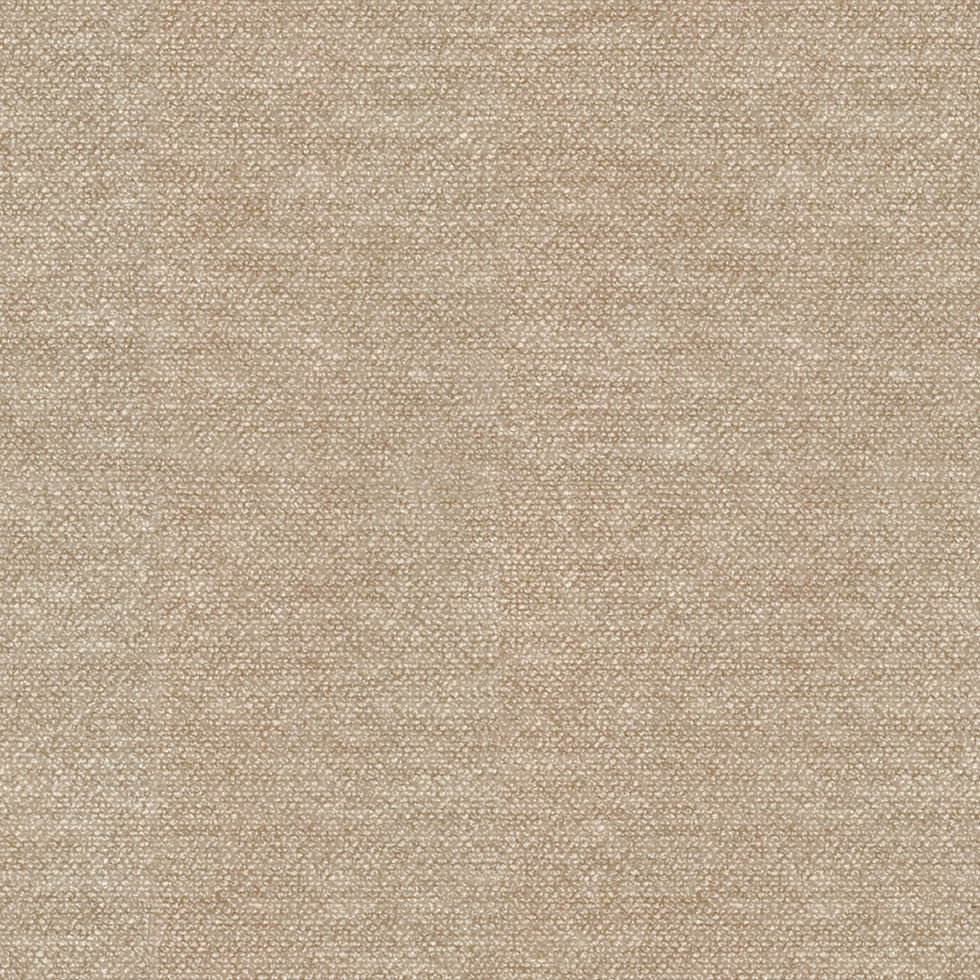 Color-170 (1) (1).jpg