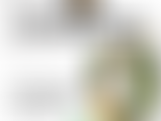 Spécifique & Stages d'été by Black Eagles