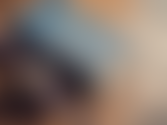 Navigating Expert Witness Testimony in ABA Legal Cases