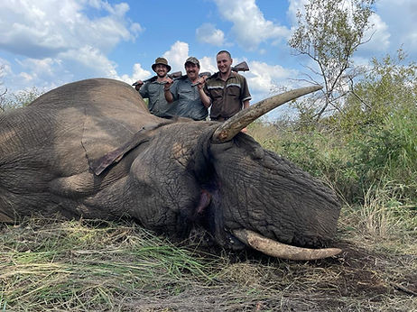 Hunting Elephant in South Africa