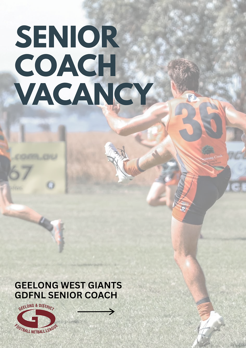 GDFNL Senior Football Coach Expression of interest.