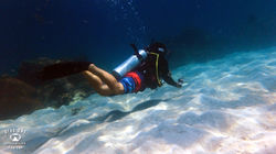 다이브원PA300091꼬따오