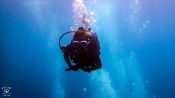 꼬따오 스쿠버다이빙P3194317-20170326다이브원