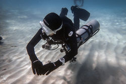 다이브원PC020263꼬따오