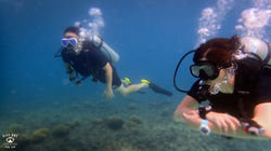 다이브원P9265365스쿠버다이빙