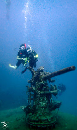 다이브원P7060237-26꼬따오다이빙