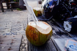 다이브원PC020251꼬따오