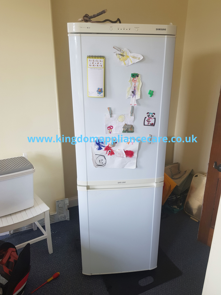 Samsung Fridge Freezer Repair RL33SBSW1/XEU Fridge Freezing Ice in