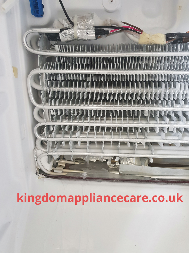 Samsung Fridge Freezer Repair RL33SBSW1/XEU Fridge Freezing Ice in