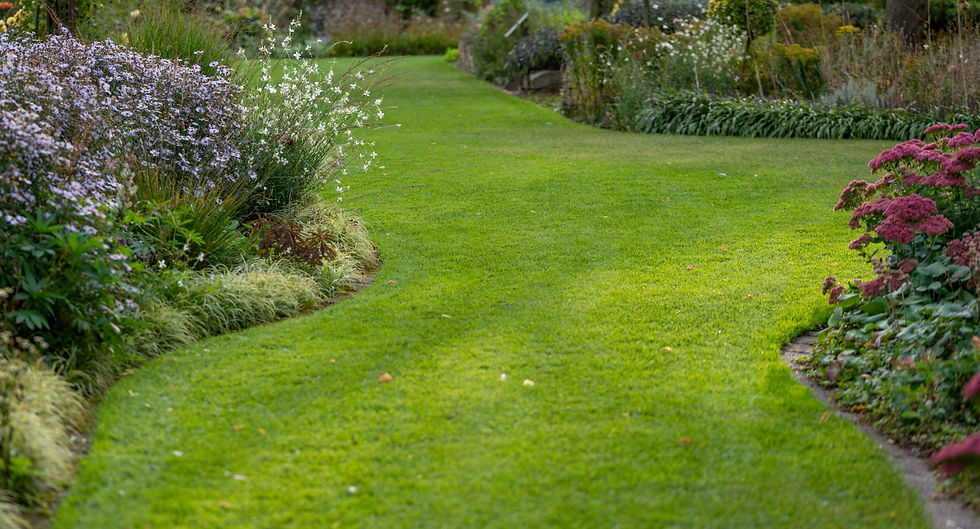 Grüner Rasenweg mit Blumenbeeten