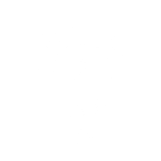 Logo White Transparent.png