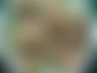 Egg Pepper Fry (Scrambled)