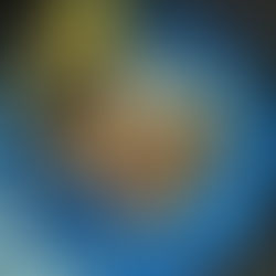 Erachi Curry (homestyle mutton curry)