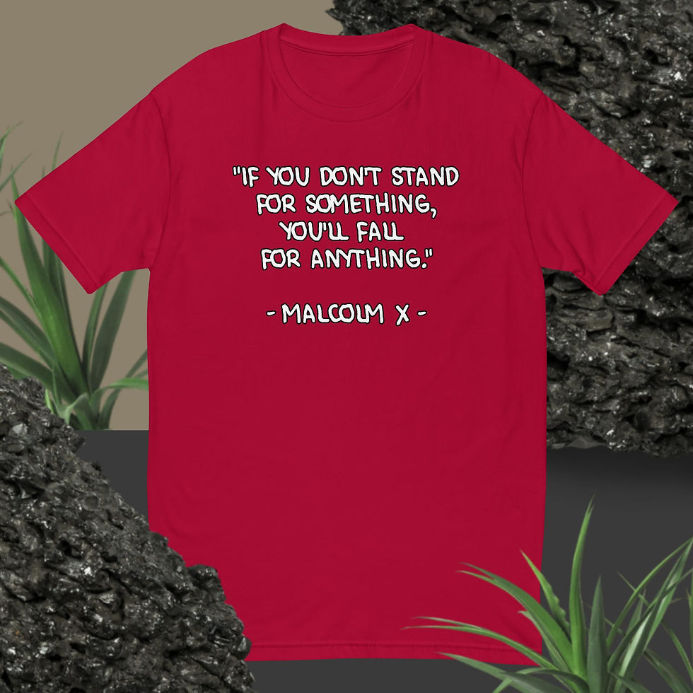 Thumbnail: Malcolm X Quote 2