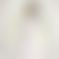 Professional Couple Maternity Photographer in Windsor, ON for Stunning Maternity Photography