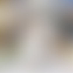 Capture Your Love Story: Professional Couple Wedding Photographer in Windsor, ON for Stunning Wedding Photography