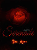 (5) The Aviv - Serenade - Bass - Concert copy 1.jpg