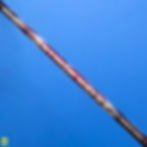 縮圖：Yonex AX100ZZ Kurenai