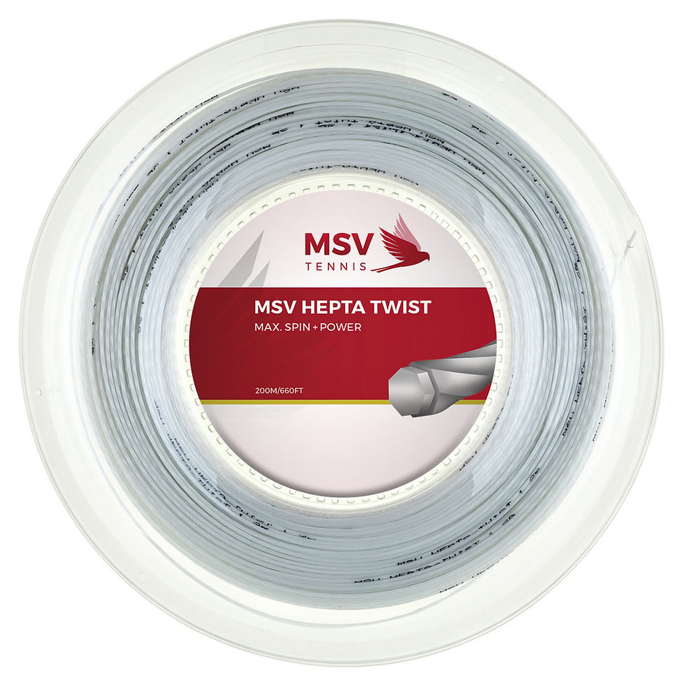 縮圖：MSV Hepta Twist