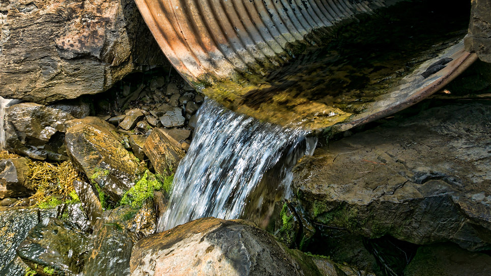 AdobeStock_94393726.jpeg