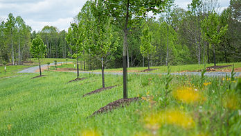 Lot 1 Gauley Ridge Rd