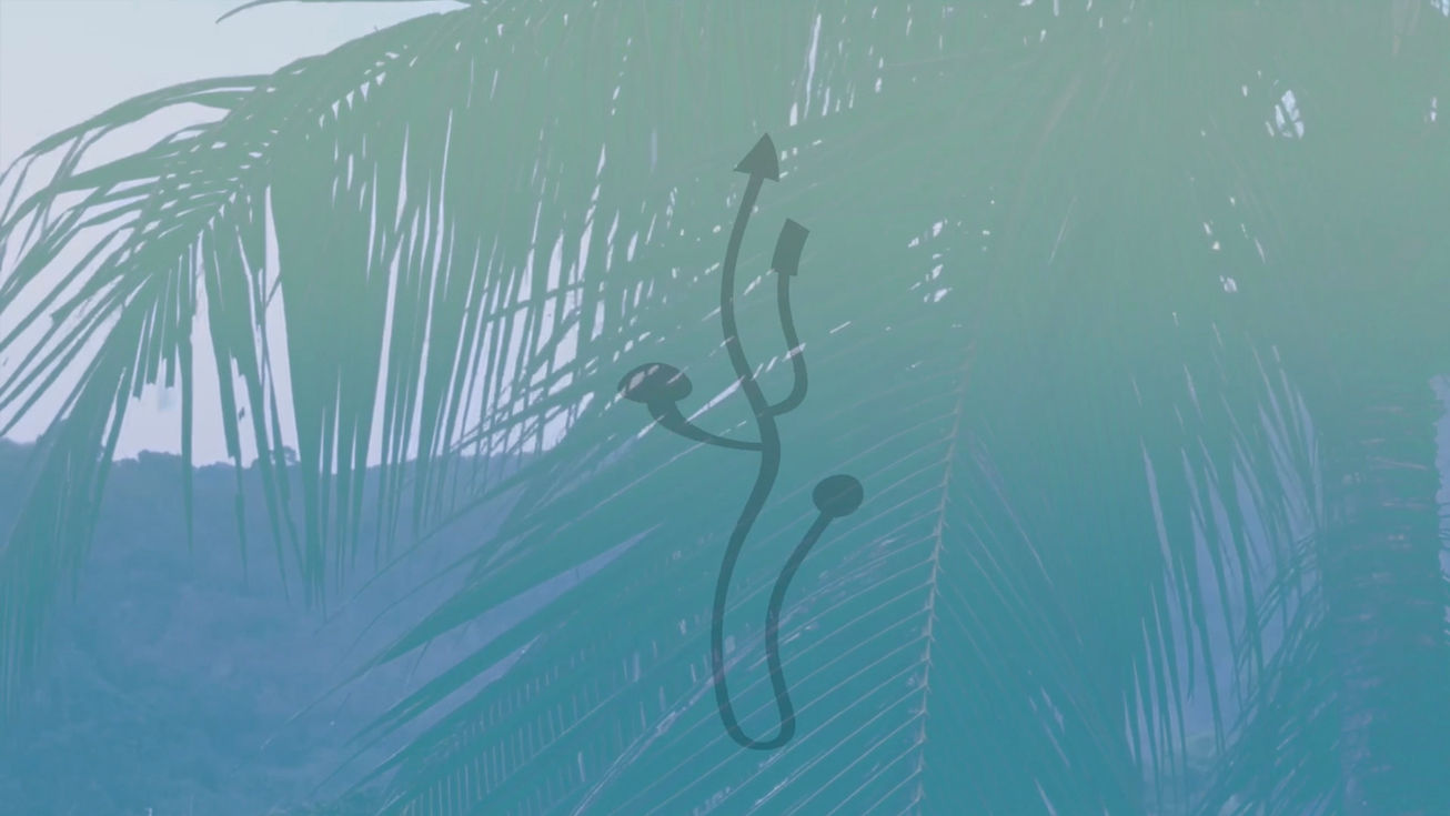 Still frame from the video 'Fieldwork' produced in 2018 by the artist Tyler Mallison, featuring a fluid USB symbol in a tropical setting with the silhouette of palm tree fronds against the sky. 