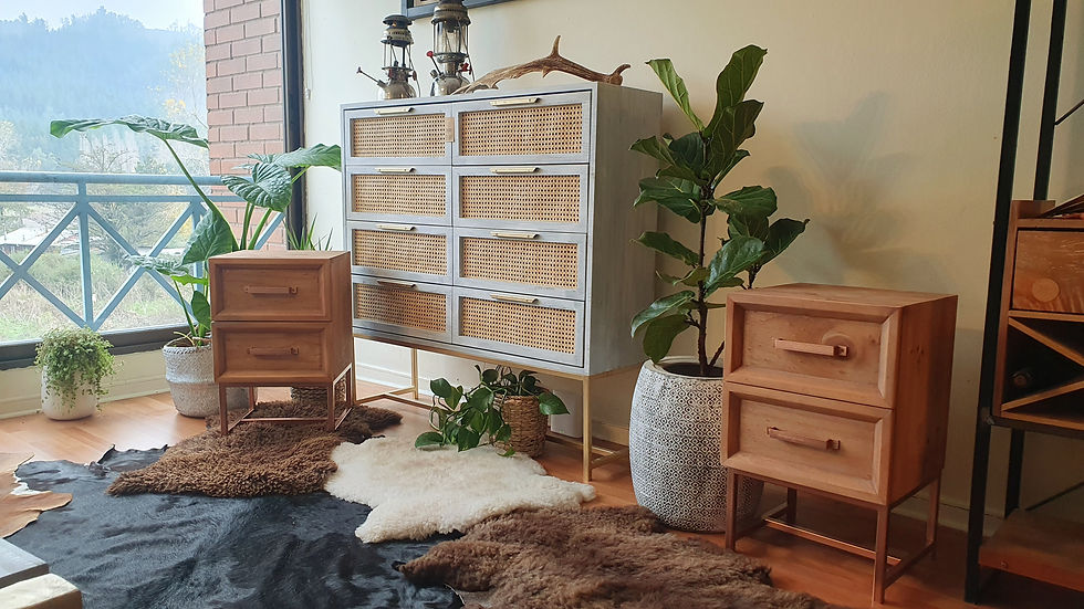 Miniatura: Cajonera 8 cajones y ratán natural 