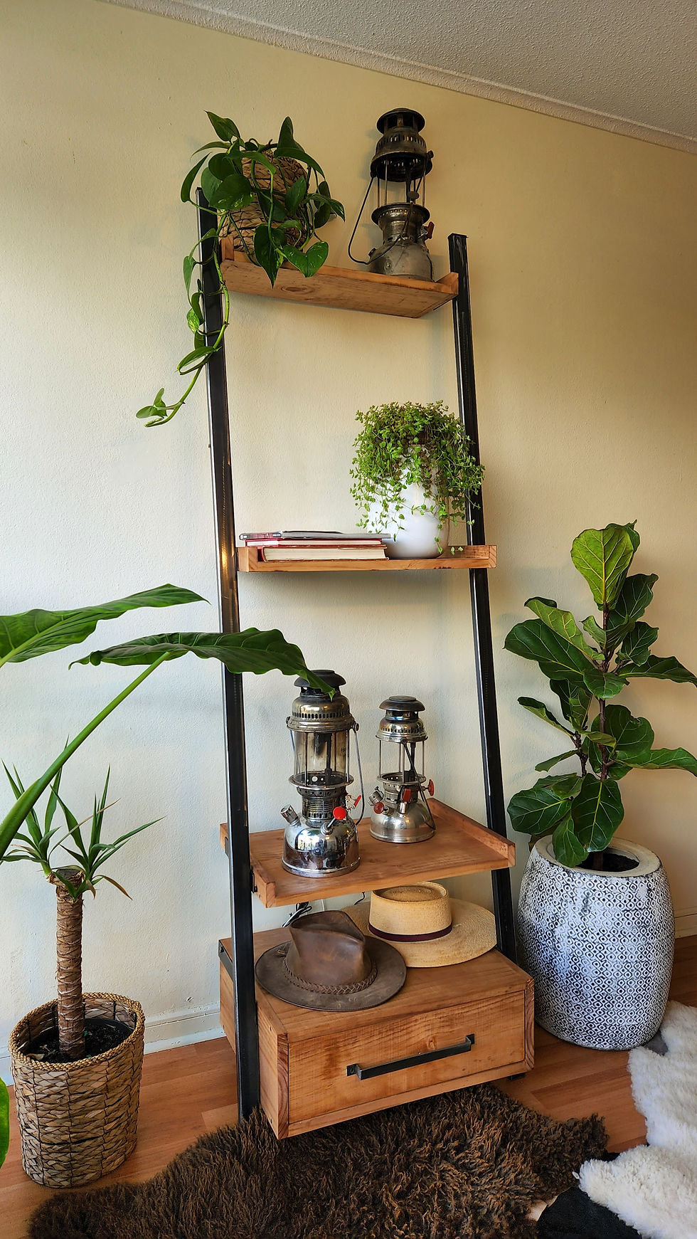 Miniatura: Estante de exhibición 