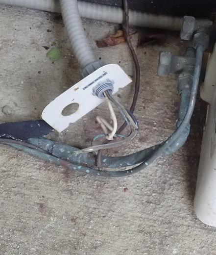 Exposed Conductors