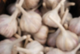 Chesnok Red Hardneck Culinary Garlic - 1/2 lb