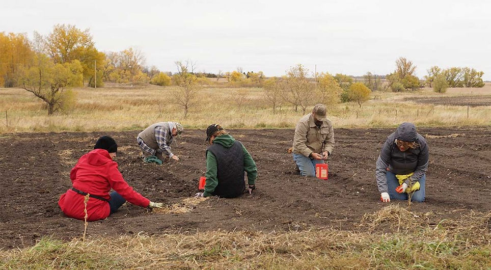 cousins-planting.jpg