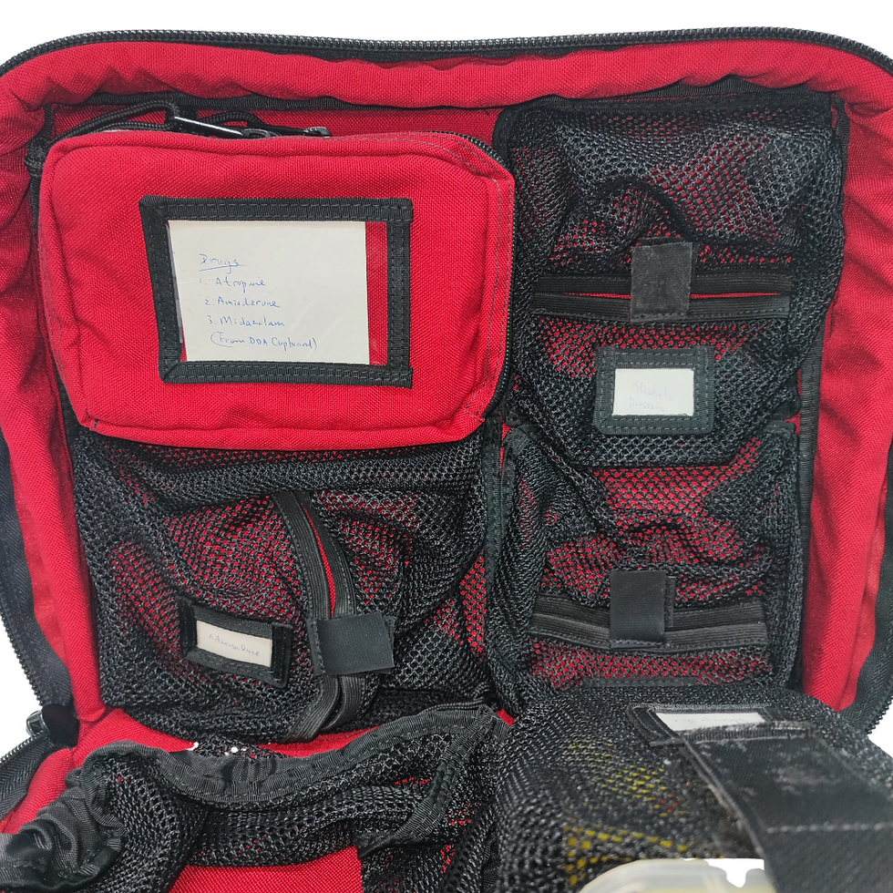 Thumbnail: P.A. System Medical Transport Bag