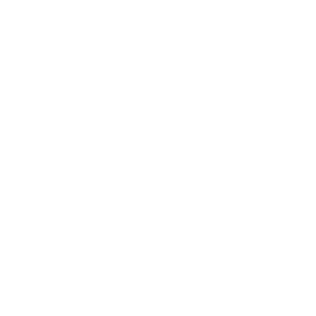 Vector.png