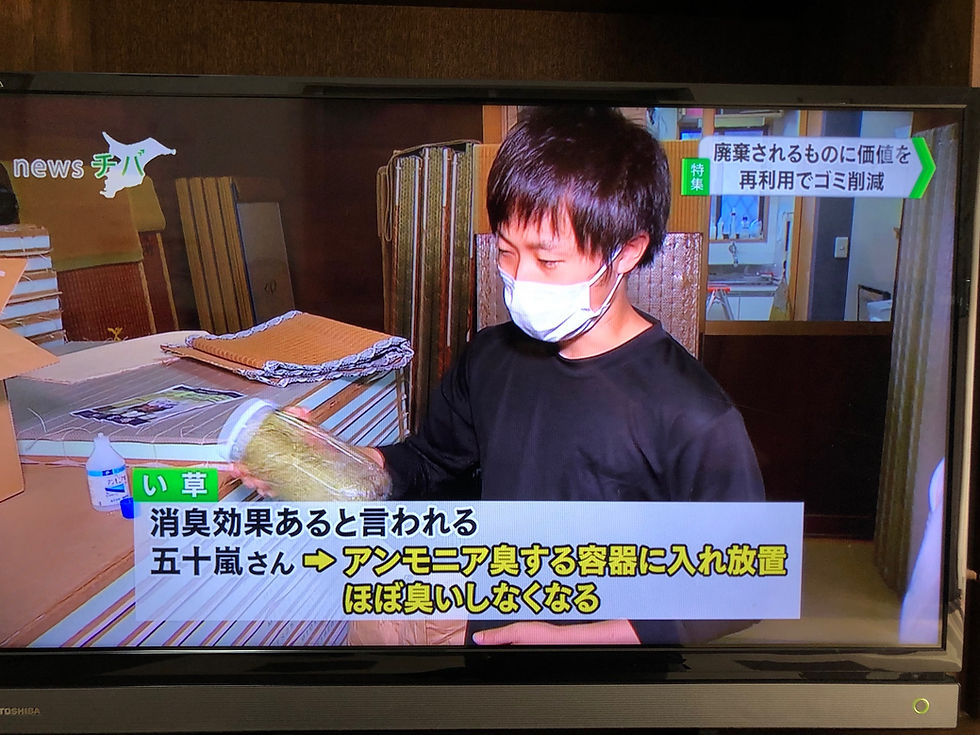 船橋 に住む皆様や 千葉 に現場を持つ業者様を中心に畳交換のご依頼をいただき、 創業57年が経った 畳店 です。畳張替え( 畳表替え , 畳替え . 畳交換 . 琉球畳 ・ 縁なし畳などの要望)を検討するみなさまに良心的な価格で 畳の表替え や新調 、 裏返し などの交換や、畳処分を対応させていただきました。 千葉 畳張替え なら畳 張替え1つで営む五十嵐畳店へ。例えば畳のこのようなキーワードでお悩みの方からご相談をいただいております。畳 交換 船橋 、 畳 船橋 . 畳 船橋市 . 船橋 畳 . 船橋市 畳 張替え , 船橋 畳店 . 船橋市 畳表替え . 船橋 市 畳 . 船橋市 畳張替え . 畳 船橋市 . 船橋市 畳店 . 船橋 市 畳屋 . 畳替え 船橋 市 . 千葉県 畳店 . 畳張替え 千葉 . 畳 張替え 千葉 . 畳 千葉 . 千葉 畳 . 畳 千葉県 . 畳 交換 千葉 . 畳千葉 . 畳替え 千葉 . 千葉県 畳表替え . 千葉県 畳 . 千葉 畳店 . 千葉県 畳張替え . 畳 千葉県 . 千葉県 畳交換 . 千葉県 畳替え . 千葉県 畳屋 . 畳交換 . 畳 張替え . 畳 交換 . 畳張替え . 畳 張替 . 畳 張り替え . たたみ張替え . 畳 表替え . 畳表替え . 畳 張替え 業者 . 畳屋 . 畳替え . 畳の張替え