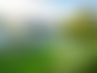 Transforming a Blank Canvas: Creating a Beautiful Backyard Oasis