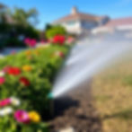 Sprinklers going in coastal garden .jpg