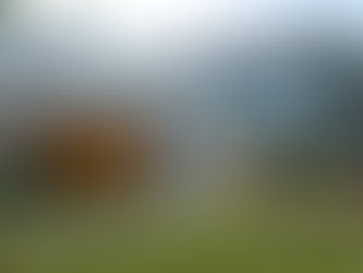 From Local Landscapers to National TV: Our Experience on HGTV's 'The Renovator' with Marcus Lemonis