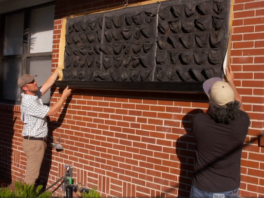Vertical Gardens & Greenwalls