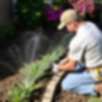 Landscaper installing irrigation system.jpg