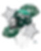 4158001 - Bouquet New York Jets