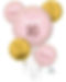 3973801 - Sweet Sixteen Blush