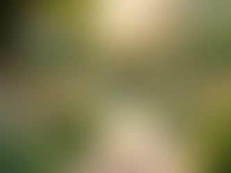 Government Shutdown Impacts Hospice Providers: Telehealth Face-to-Face Encounters Expired