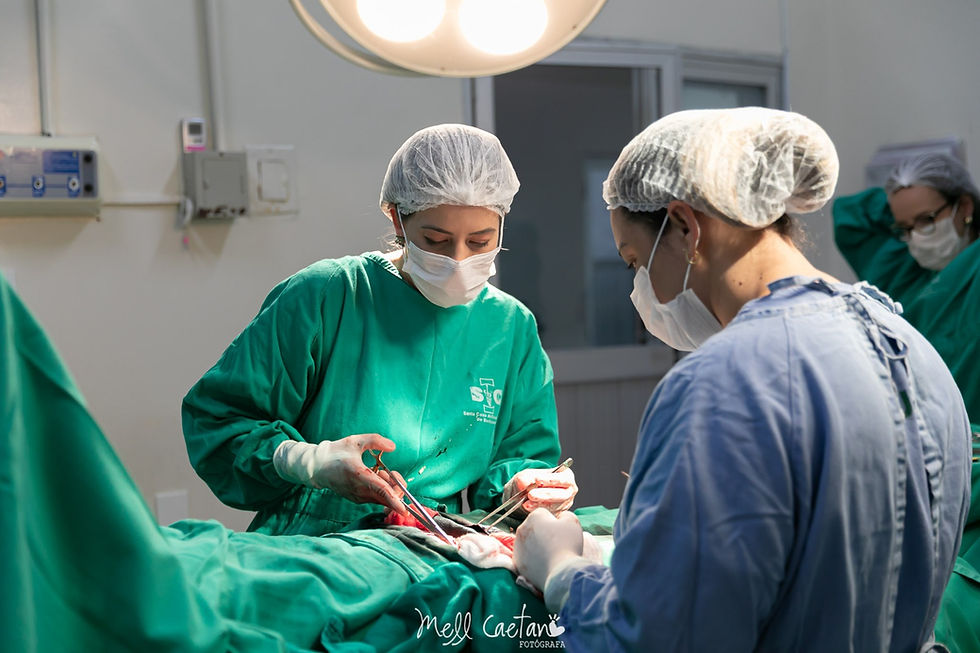 WhatsApp Image 2025-09-26 at 15.02.20.jpeg