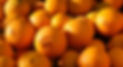 navel-orange-trees-for-sale.jpg
