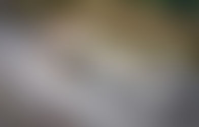 The Road to Liberation - 18th December 1940